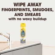 Pledge Expert Care Stainless Steel Polish, Fridge Spray, Lemon Scent, 9.7oz