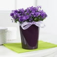 thumbnail image 4 of DELTINI Shiny Taupe High Gloss, Self-watering Small Indoor Planter, H7.5 L5.9 W5.9 in, 4 of 7