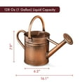 thumbnail image 5 of Watering Can - Metal Watering Can With Removable Spout, Perfect Plant Watering Can, 5 of 6
