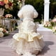 thumbnail image 5 of Conjunto de vestido de novia para perro primavera-verano • Ropa para mascotas pequeñas y medianas • Falda de gasa para fiestas • Beige rojo negro • Poliéster transpirable • 1 pieza • Espalda 12,6", 5 of 6