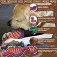 thumbnail image 3 of Magicorange Dog Chew Toys for Aggressive Chewers, Nylon Tough Dog Toys (Dinosaur Shaped, 4 Pack), 3 of 7