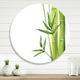 thumbnail image 2 of Designart 'The Forest of Bamboo Branches V' Tropical Circle Metal Wall Art 23x23 - Disc of 23, 2 of 5