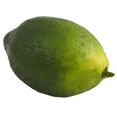 thumbnail image 3 of Juego de 12 Limones Artificiales Nearly Natural para Decoración, 3 of 7