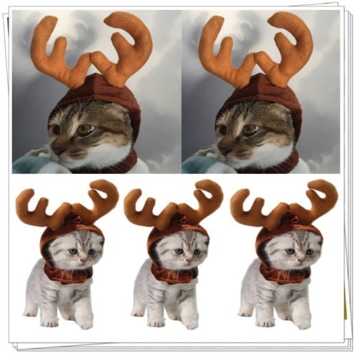 cat reindeer costume