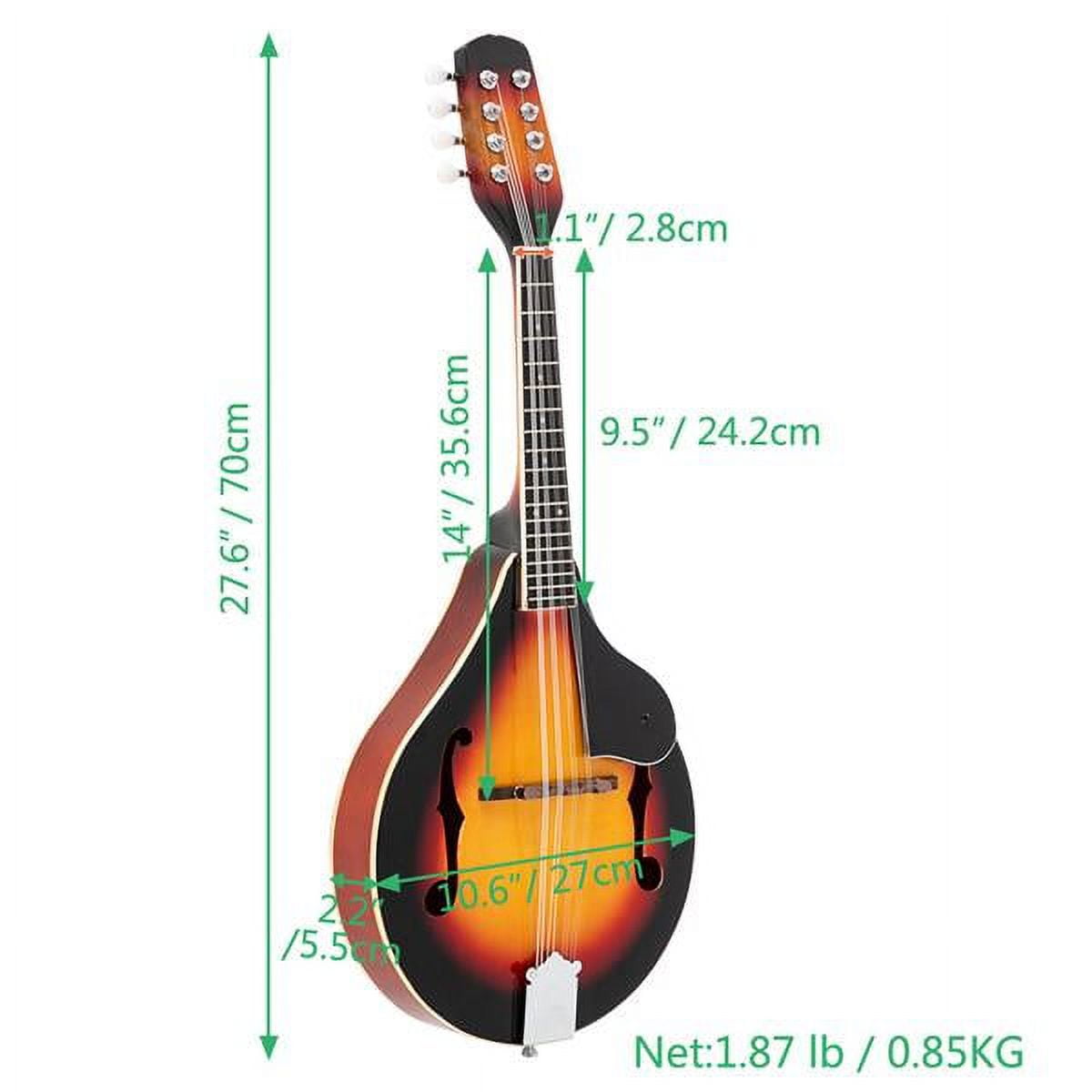6 string mandolin outlet
