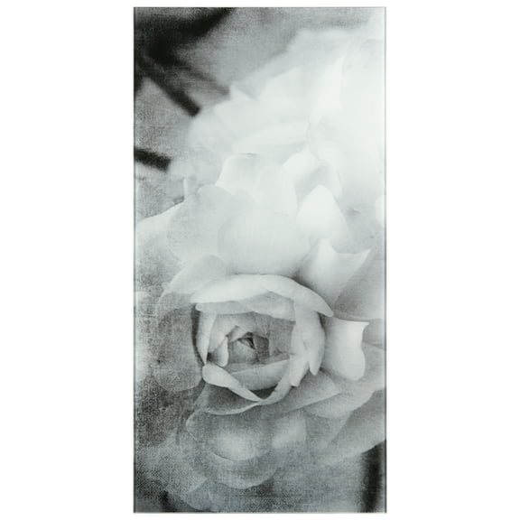 "Dark Ranunculus I A" Frameless Free Floating Reverse Printed Tempered Art Glass Wall Art