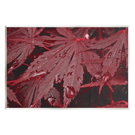 Stupell Industries Red Maple Leaves Botanical & Floral Photography Unframed Art Print Wall Art, 15 x 10