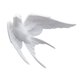 thumbnail image 2 of 2x White Resin Birds ,Nordic 3D Swallows Hanging ,Sparrow Wall Sculptures Wall Office Living Balcony Ornament, 2 of 9