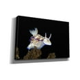 thumbnail image 2 of Epic Graffiti 'Nudibranch On Coral Reef' by Epic Portfolio, Canvas Wall Art, 60"x40", 2 of 8