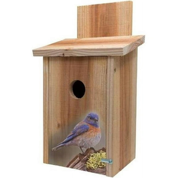 Decorative Blue Bird On Stump Design Cedar Blue Bird House