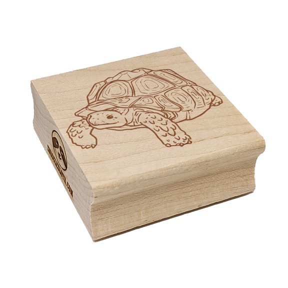 Curious Sulcata Tortoise Turtle Square Rubber Stamp Stamping Scrapbooking Crafting - Small 1.25in