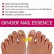 thumbnail image 5 of Ginger Infusion Nail Repair - Fortifies Toenails and Restores Smoothness for Optimal Nail Health, 5 of 5