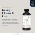 thumbnail image 3 of Quicksilver Scientific Kidney Care - Kidney Cleanse & Lymphatic Drainage Supplements - Astragaloside IV Extract, Zhu Ling, Goldenrod, Ferulic Acid, He Shou Wu & Dandelion Leaf (3.38oz / 100ml), 3 of 5