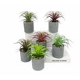 thumbnail image 3 of Planta artificial simulación de flores artificiales planta suculenta fresia planta en maceta interior simulación flor decoración del hogar bonsai adornos planta verde planta de simulación (verde marrón) ILoveMilan JM, 3 of 5