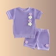 thumbnail image 4 of Zpanxa Toddler Girls Outfits Solid Color Floral Embroidery Round Neck Short Sleeve Top with Shorts Set 2-3 Years, 4 of 6