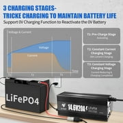 12V 20A LiFePO4 Battery Charger with Anderson Connector for RV Marine Boat Deep Cycle