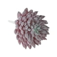 thumbnail image 3 of Uxcell Picos de Suculentas Artificiales Sin Maceta Plantas Suculentas Falsas Pequeñas Color Burdeos Paquete de 4, 3 of 5