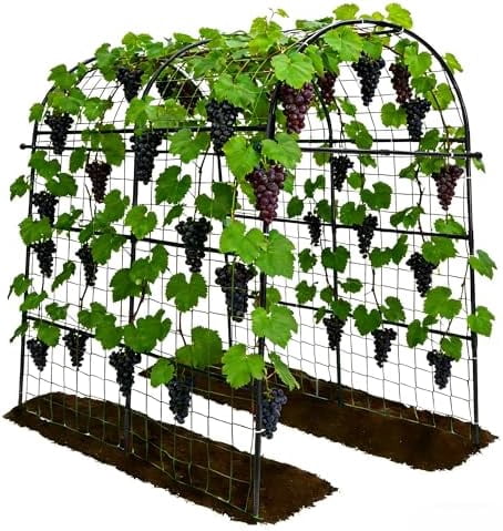 Garden Arch Trellis for Climbing Plants Outdoor - 83" H*71" W*43" L Large Rustproof Garden Trellis, Heavy Duty Grape Trellis, Tunnel Trellis for Melons, Pumpkins, Cucumbers, Peas(Black)