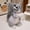 A1272 christmas decorations under 5$, variant on Stuffed Animal Toy under $5! Yannianjz 7 Inch Lifelike Chipmunk Stuffed Animal, Realistic Squirrel Plush Toy for Kids, Soft Cuddly Chipmunk Doll for All Ages, Collectible Animal Plushie for Gift