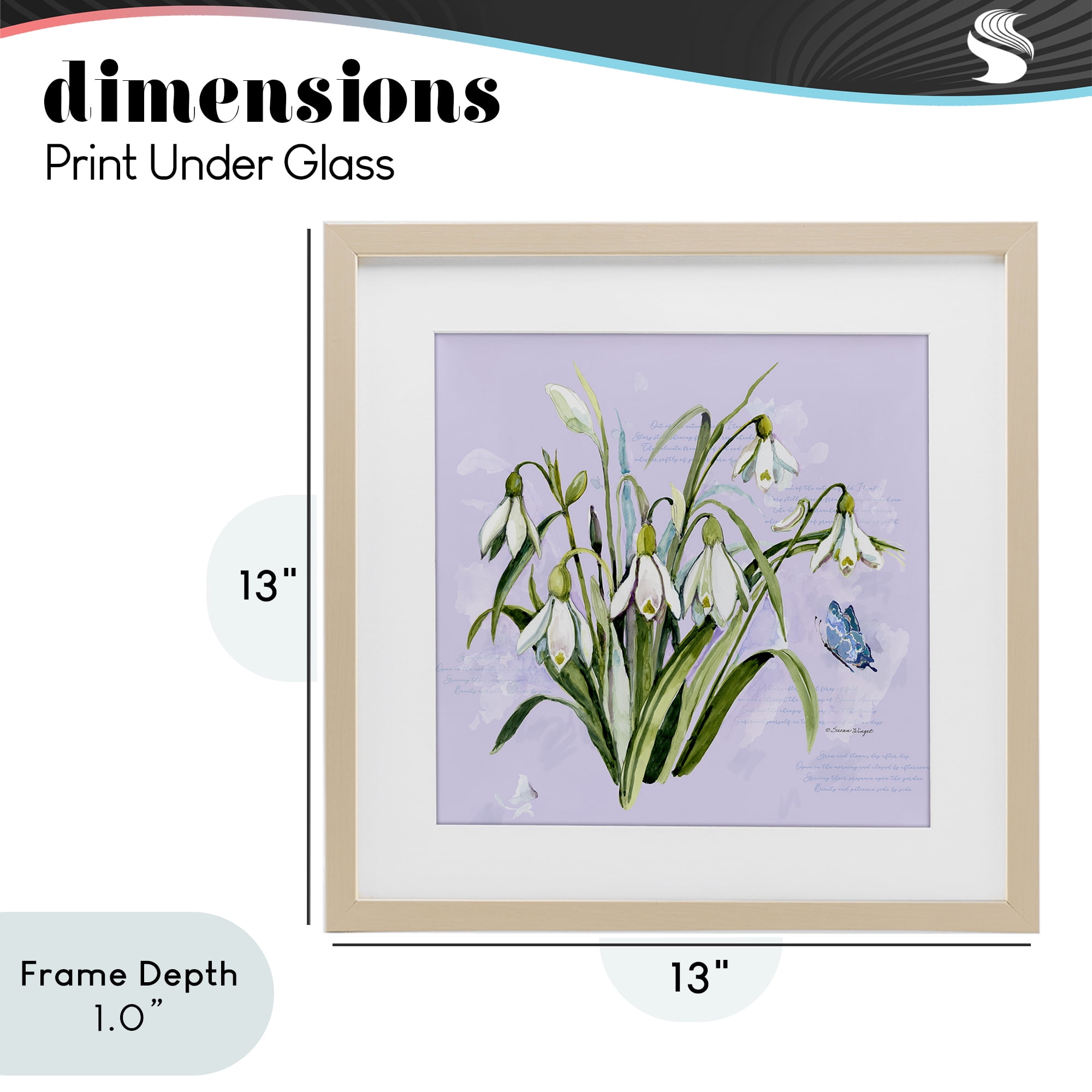 Stupell Industries Snowdrops with Vintage Writings Birch Framed Print Under Glass, design by Susan Winget