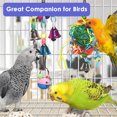 thumbnail image 2 of Juguetes para periquitos y pájaros, columpio colgante de pie, juguete para masticar, hamaca, escalera para escalar, jaula para pájaros, juguetes coloridos adecuados para periquitos, 2 of 7
