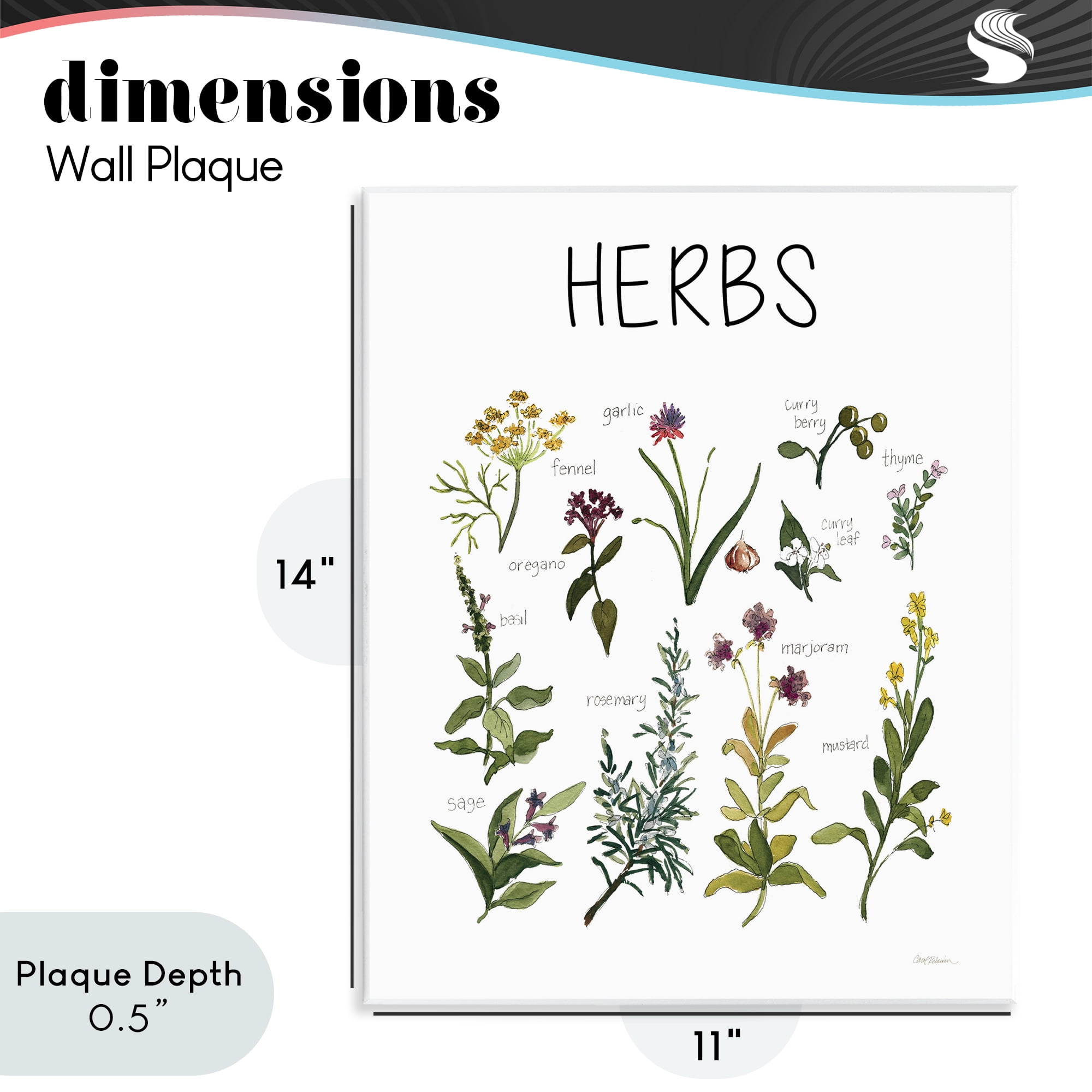 Stupell Industries Herbs Identification Chart Wall Plaque Art, design by Carol Robinson