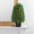 thumbnail image 2 of 18" Pre-Lit Artificial Boxwood Cone Topiary Tree with Round Pot  Clear Lights - 9, 2 of 5