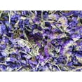 thumbnail image 4 of Flower Petals and Buds Forget-me-not Bulk Flower to Make Sachets, Potpourris, Flowers DIY, Candle Making, Wedding Decoration, Good for All Kinds of Flowers Crafts - 7.05 OZ/200g, 4 of 7