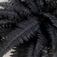 thumbnail image 2 of Nearly Natural Halloween Artificial Boston Ferns - 40" - Black - Set of 2, 2 of 4