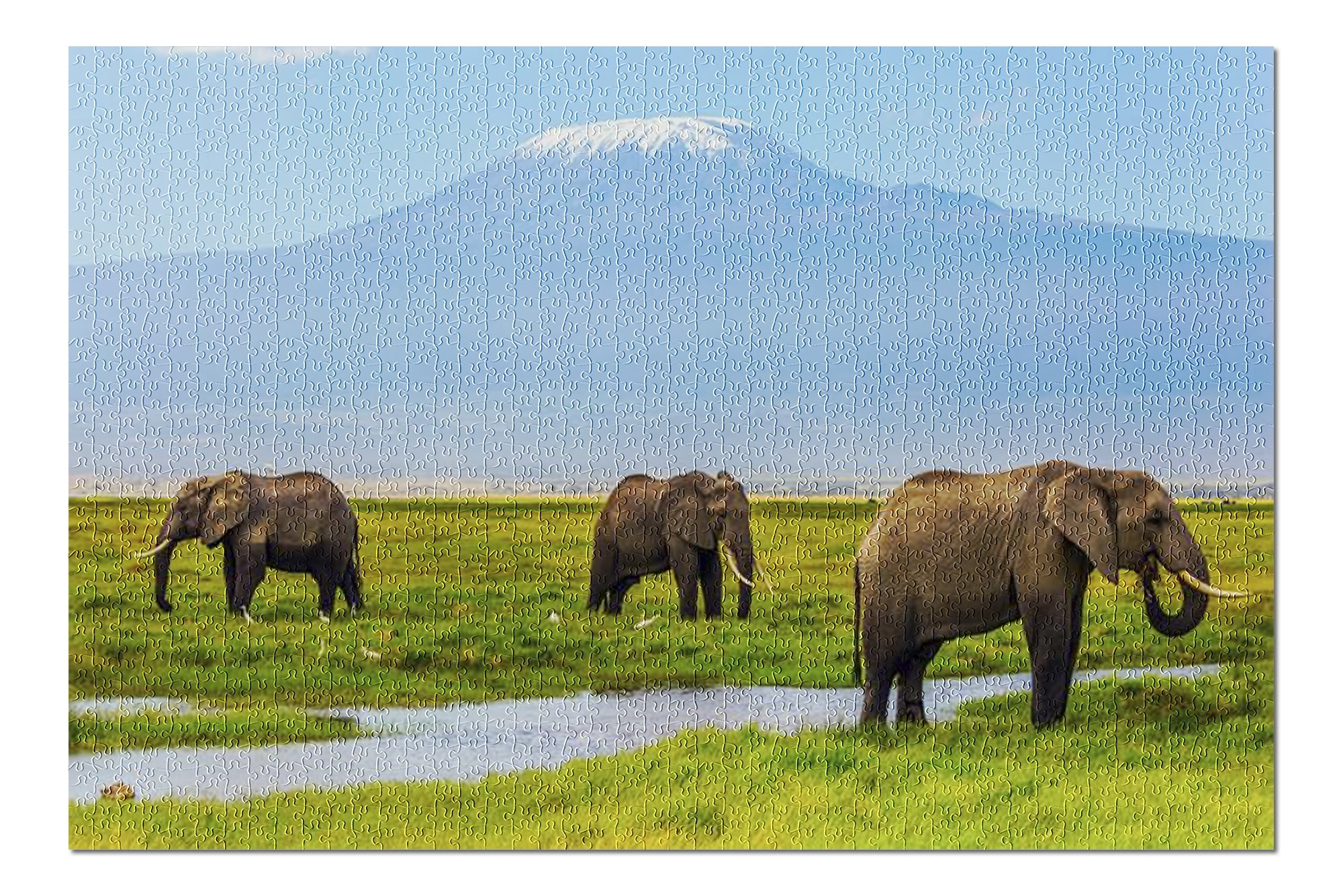 Tanzania, Africa - Elephants & Mount Kilimanjaro 9010743 (20x30 Premium ...