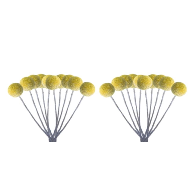 Bearachild 10 bolsas de flores secas auténticas y naturales de bolas doradas para decoración del hogar que embellecen el sentido de la vida de talla grande 2Conjunto