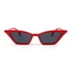 thumbnail image 5 of Gafas de Sol FEISEDY Pequeñas Ojo de Gato Vintage Cuadradas para Mujer B2291, 5 of 6