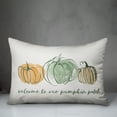 thumbnail image 3 of Creative Products Welcome to Our Pumpkin Patch Watercolor Pumpkins 14x20 Spun Poly Pillow, 3 of 3
