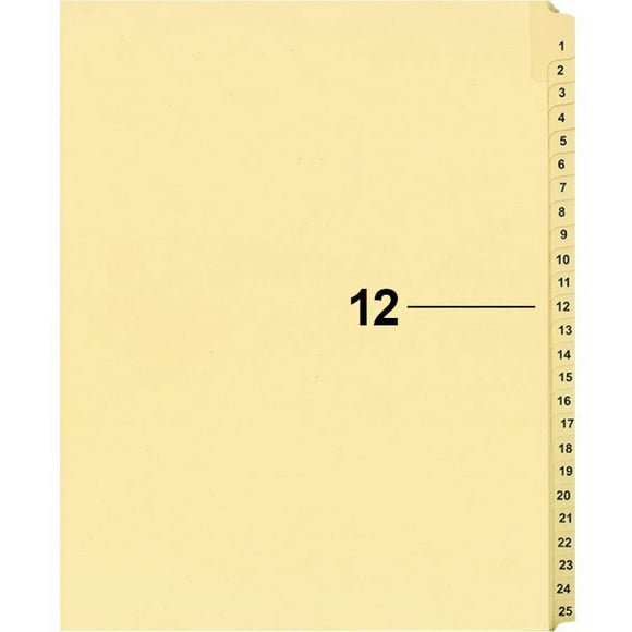 Davisgroup B1125-12 Index Numérique Individuel pour Contentieux 12 - 1 Chacun