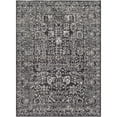thumbnail image 3 of Livabliss Area Rugs for Living Room, 3x7 Harput Traditional Black Runner Rug, Bedroom Dining Room Home Decor Stain Resistant Carpet (2'7" x 7'3" Runner), 3 of 5
