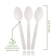 thumbnail image 3 of Cucharas compostables Ecovita 140 utensilios desechables grandes, 3 of 9