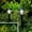 A62, variant on kkbbma under $5 Solar Pathway Lights Outdoor - Solar Powered Garden Lights Waterproof, Decor Landscape Lighting for Yard, Lawn, Walkway, Driveway