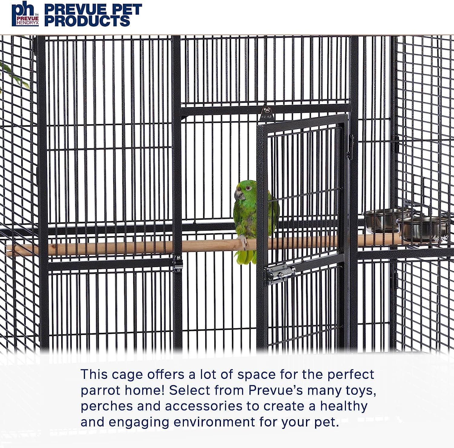 Prevue – Perroquet en fer forgé, noir