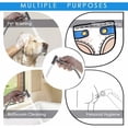 thumbnail image 5 of Effortless Hygiene, Handheld Bidet Sprayer For Toilet, Leak-Free Design, Stainless Steel Cloth Diaper Jet Spray, Explosion-Proof Hose, Easy Diy Setup, High-Quality Workmanship,, 5 of 5
