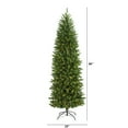 thumbnail image 4 of Nearly Natural 7' Slim Green Mountain Pine Artificial Christmas Tree with 300 Clear LED Lights, 4 of 10