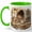 Green, variant on Cozy Journal Coffee Mug, Cat Lover Writing Mug, Bookish Self Care Birthday Christmas Gift for Women, Warm Cafe Desk Books Sleeping Cat Art, 11 oz White Ceramic Coffee Cup