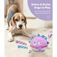 thumbnail image 4 of Petbobi Interactive Dog Toy Ball, Usb Rechargeable 4.9" Plush Monster Ball with Washable Cover, Self Moving Toy with Barking Sounds, Gift for Small & Medium Dogs, 4 of 6
