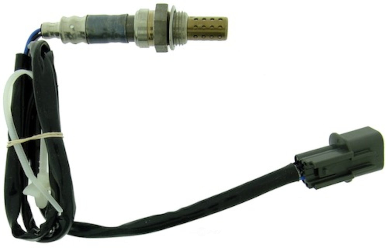 23524 Direct Fit Oxygen Sensor By NGK CANADA/NTK SENSORS Walmart Canada