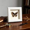 thumbnail image 4 of Feledorashia Shadow Box Frame, Specimen Display Frame, Deep Hollow Display for Dried Flowers Keepsakes Photos and Crafts, MDF Frame with Clear Glass Window Back Support and Layered Border, 4 of 6