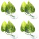 thumbnail image 2 of 4 Uds Betta Fish Leaf plástico doble hoja Betta punto de descanso con ventosa para tanque de agua de 5?10L, 2 of 8