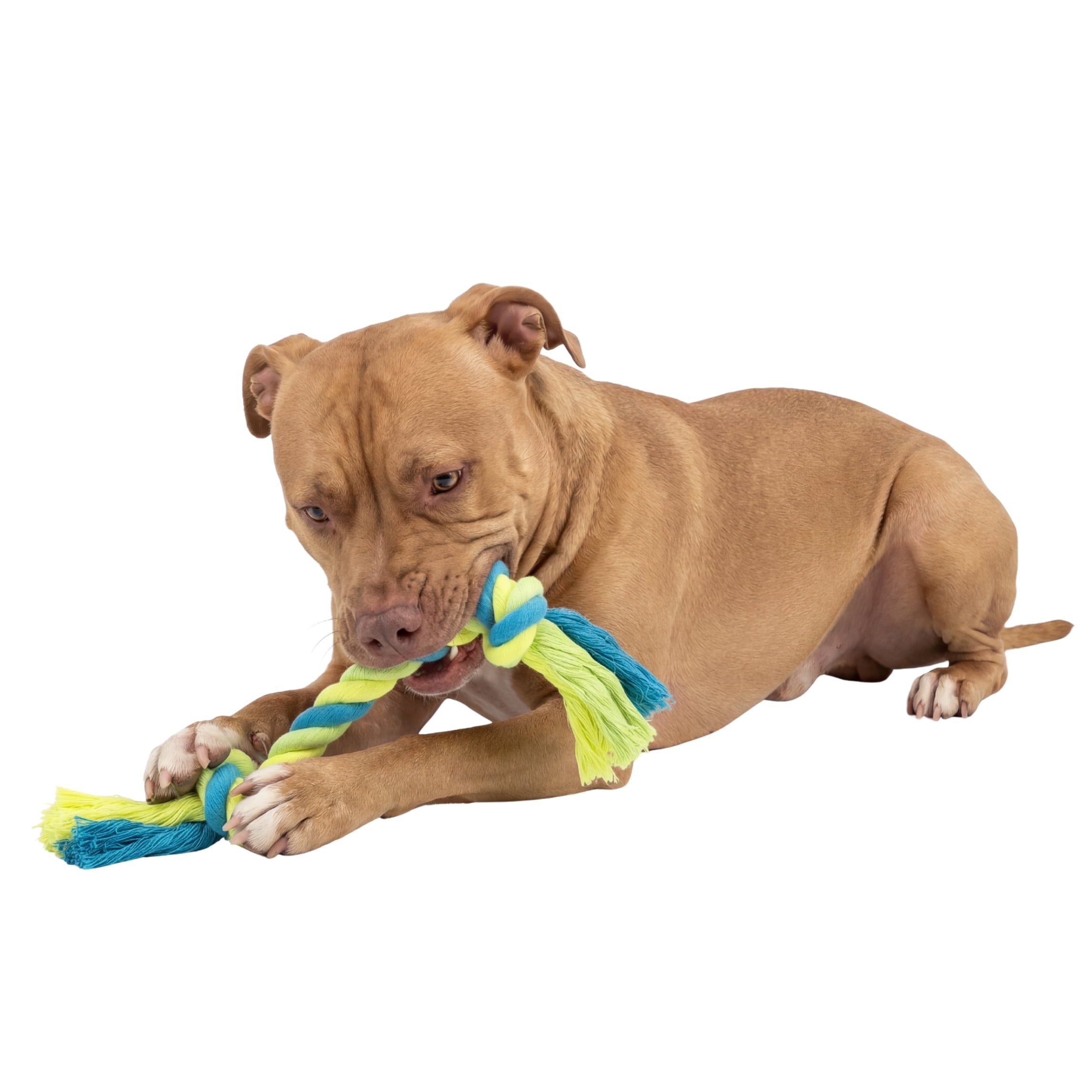 One Paw, Knotted Rope Chew Toy for Dogs, Tug of War, Green