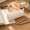 Beige, variant on Xhegex Cylinder Pencil Bag - Large Capacity Zipper Case for Storing Pens, Pencils & Stationery - Stylish & Portable Pouch for Students and Office Use
