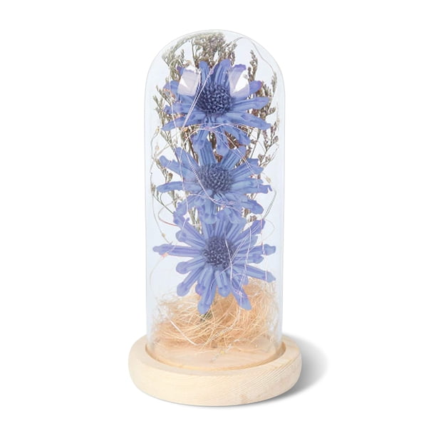 Flor de luz LED Botella decorativa Lámpara seca Preservada Mujeres Regalo Decoración Funciona con pilas Decoración romántica de la boda en el hogar Rosa Rojo Azul Sweethay HA009077-04B