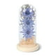 thumbnail image 1 of Flor de luz LED Botella decorativa Lámpara seca Preservada Mujeres Regalo Decoración Funciona con pilas Decoración romántica de la boda en el hogar Rosa Rojo Azul Sweethay HA009077-04B, 1 of 6