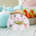 thumbnail image 6 of Aooww Small Stuffed Bunnies: Mini Plush Easter Bunny Animals, Rabbit Doll - Soft Plush Rabbit Dolls for Kids, Perfect for Easter, Playtime and Decoration,White, 6 of 6